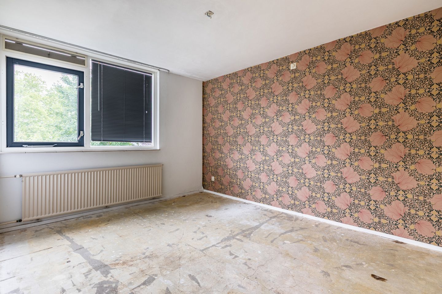 Foto 20 van Treubstraat 66