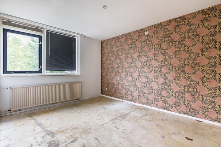 Foto 20 van Treubstraat 66