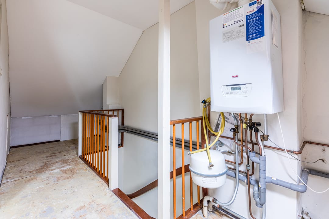 Foto 31 van Treubstraat 66