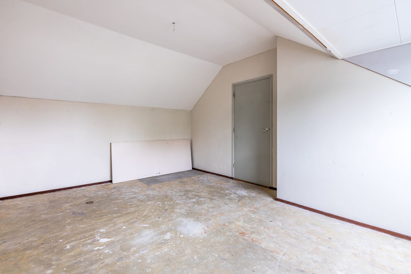 Foto 35 van Treubstraat 66