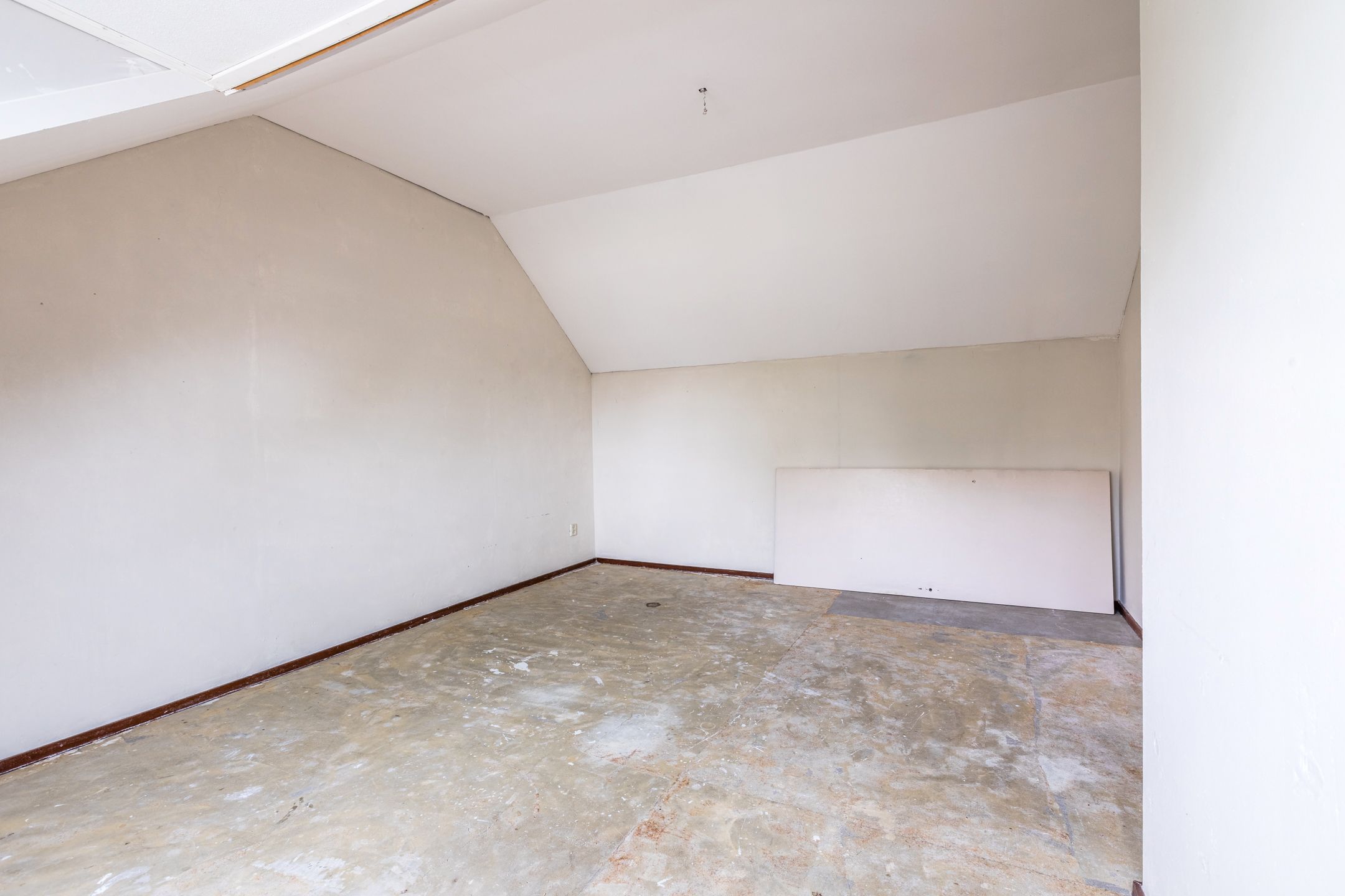 Foto 36 van Treubstraat 66