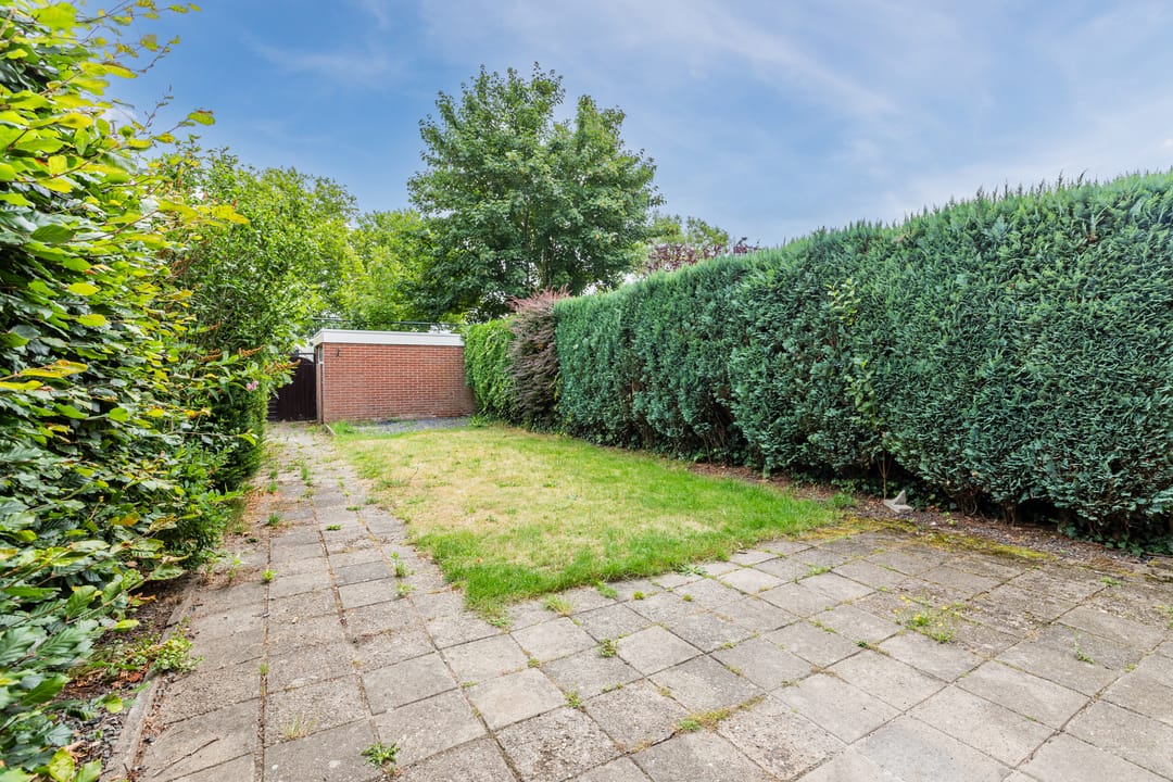 Foto 37 van Treubstraat 66