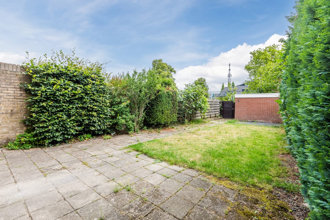 Foto 38 van Treubstraat 66