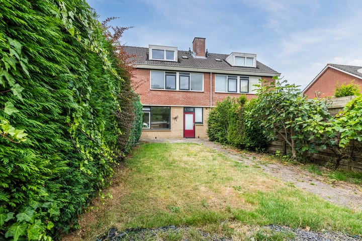 Foto 39 van Treubstraat 66