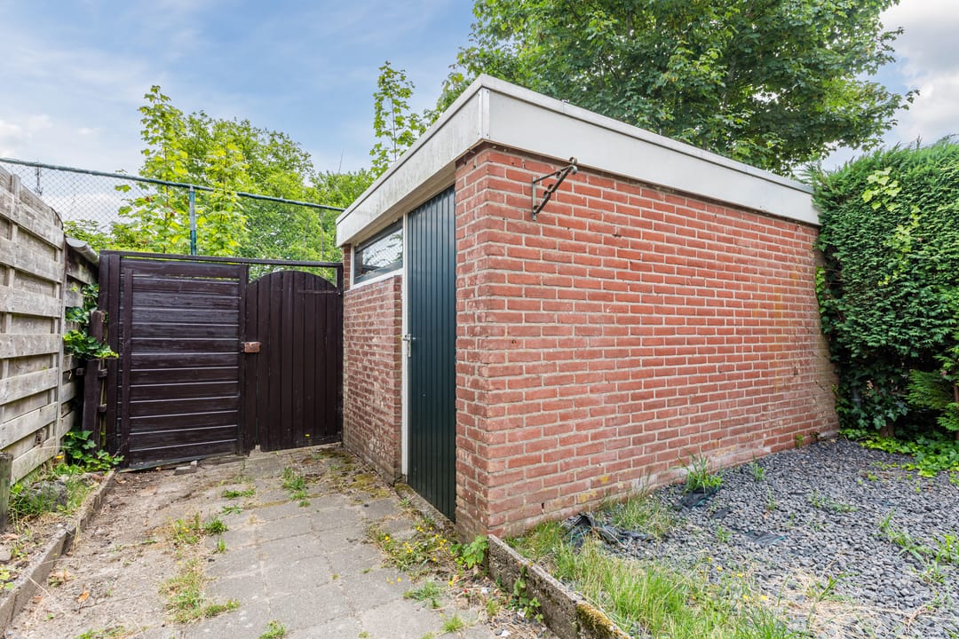 Foto 41 van Treubstraat 66