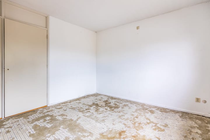 Foto 17 van Treubstraat 66