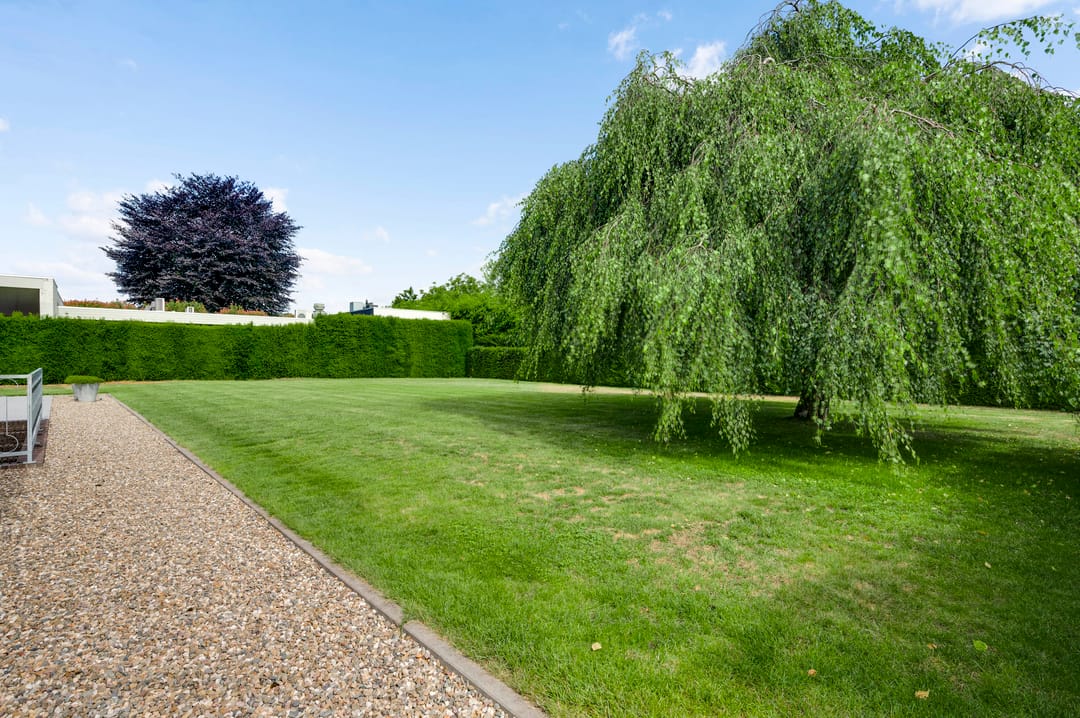 Foto 46 van Graaf van Hornelaan 15