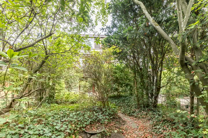 Foto 42 van Anne Franklaan 197