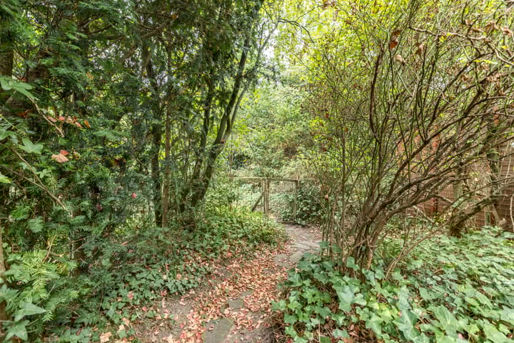 Foto 43 van Anne Franklaan 197