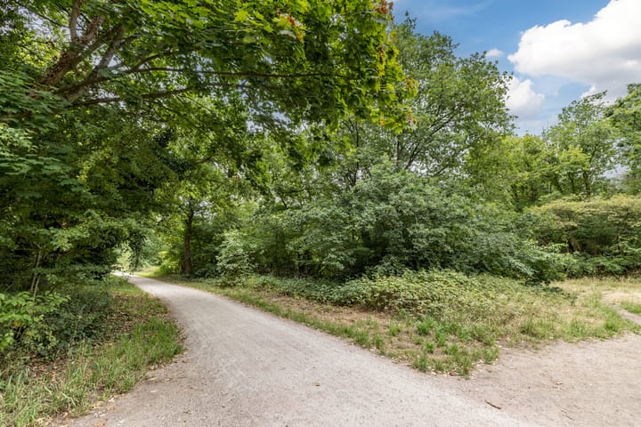 Foto 47 van Anne Franklaan 197