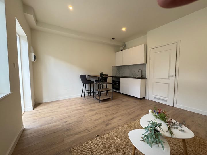 Foto 2 van Paulus Potterstraat 167-C