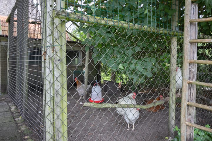 Foto 46 van Dorpsstraat 6