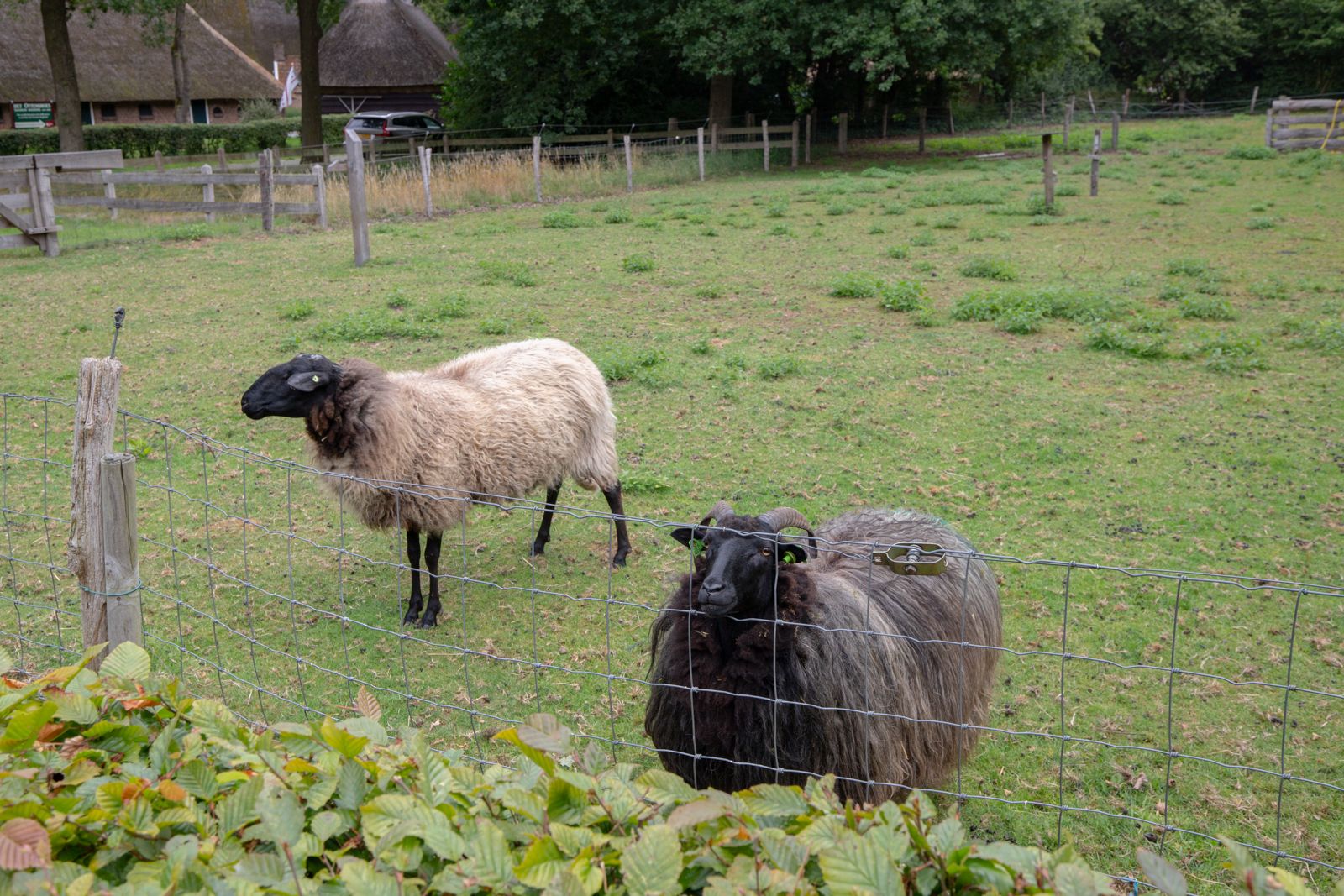 Foto 51 van Dorpsstraat 6