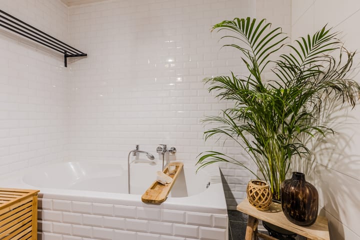 Foto 25 van Rozengracht 103-B