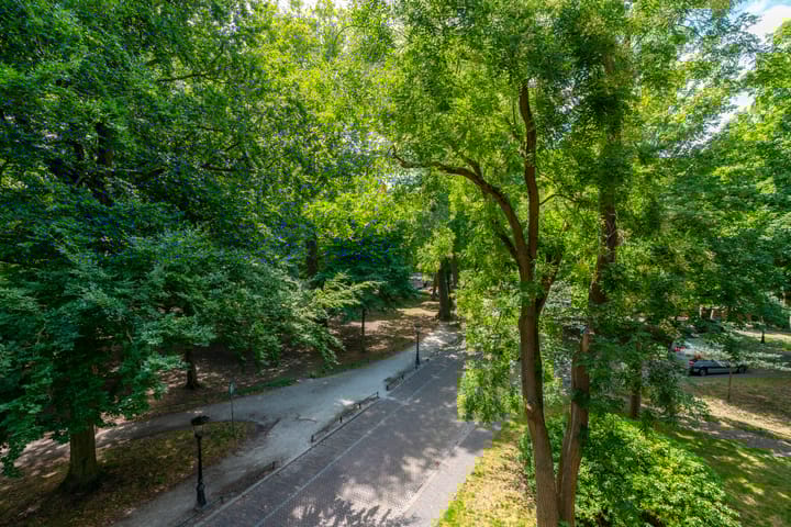 Foto 39 van Servaasbolwerk 29