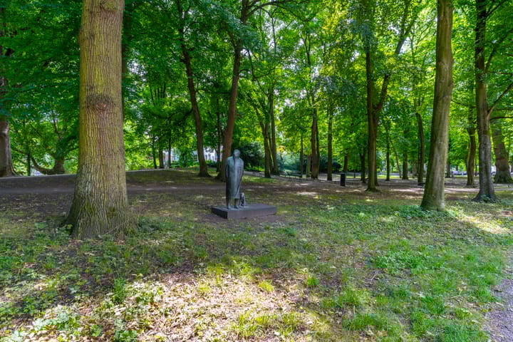 Foto 46 van Servaasbolwerk 29