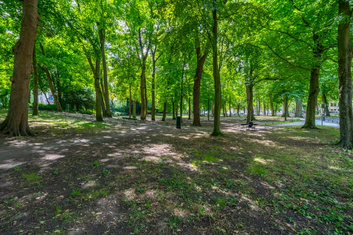 Foto 47 van Servaasbolwerk 29