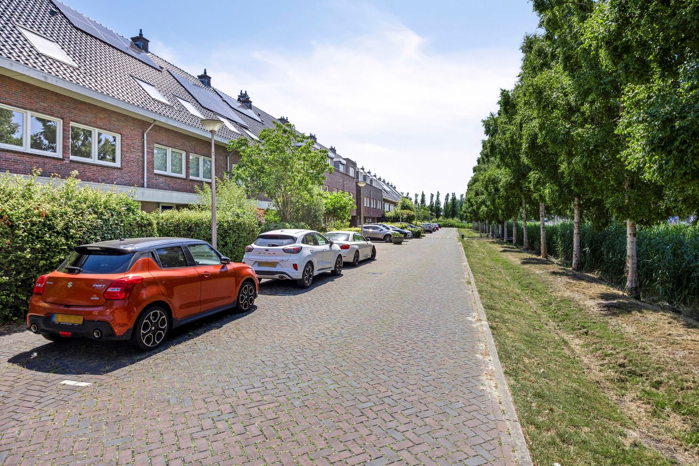 Foto 5 van Paardenbloemsingel 61