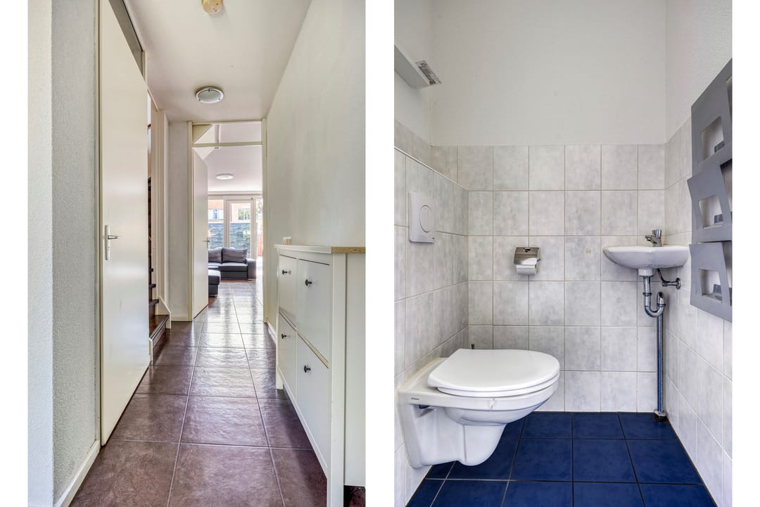 Foto 7 van Paardenbloemsingel 61