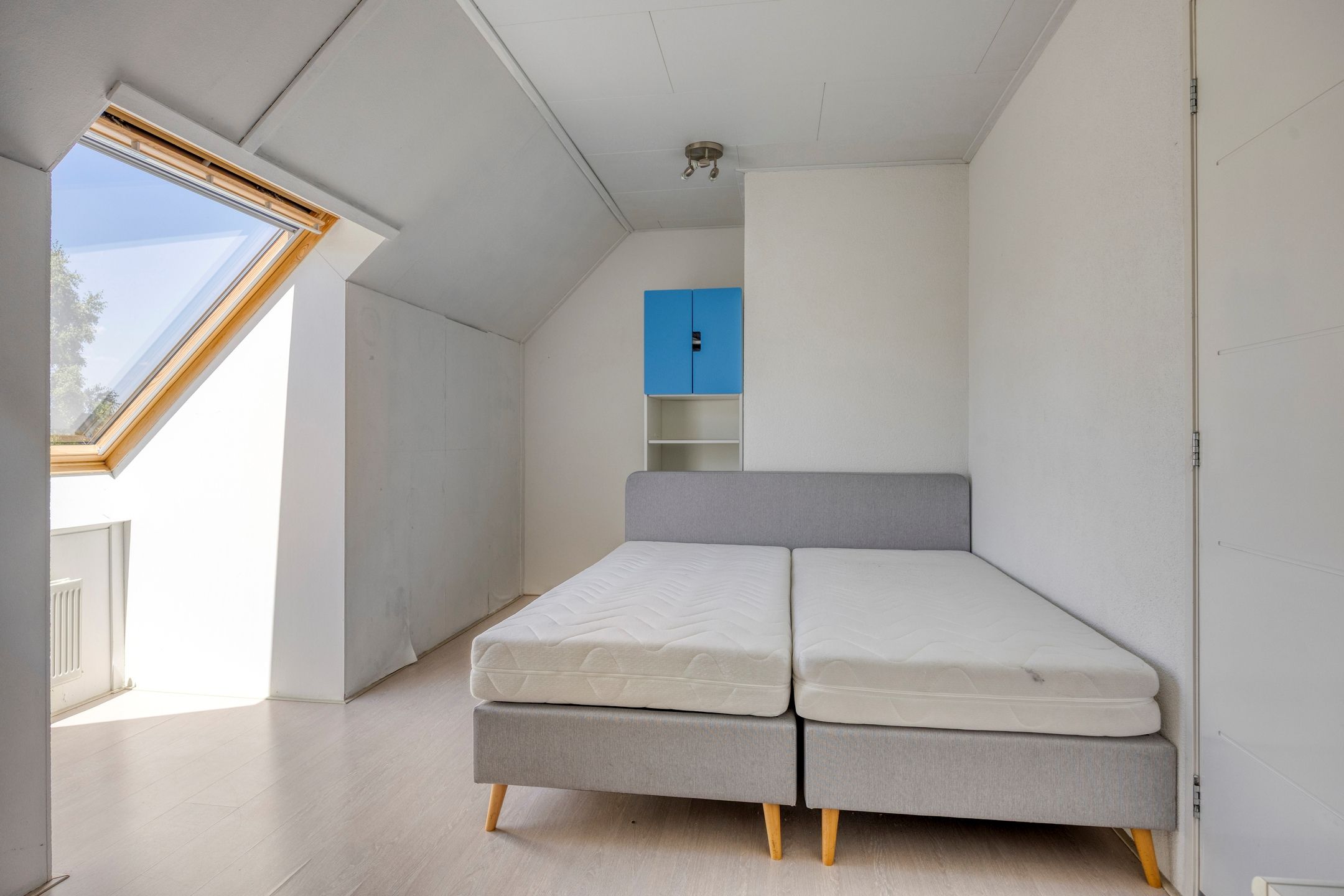 Foto 21 van Paardenbloemsingel 61