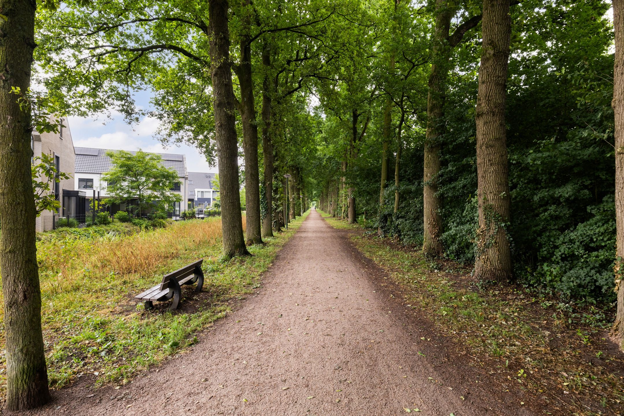 Foto 30 van Scholeksterweide 46