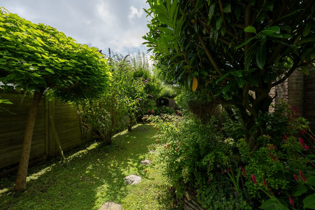 Foto 32 van Pelikaanstraat 17