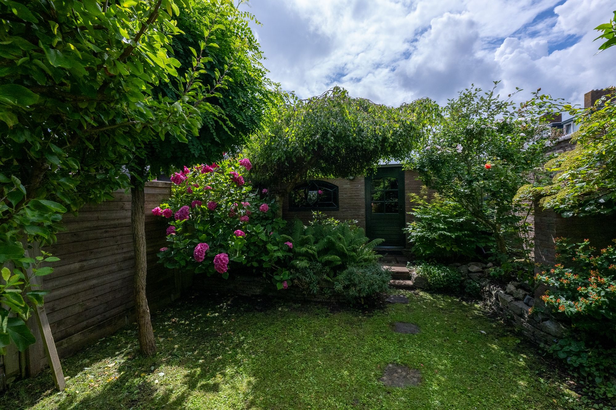 Foto 33 van Pelikaanstraat 17