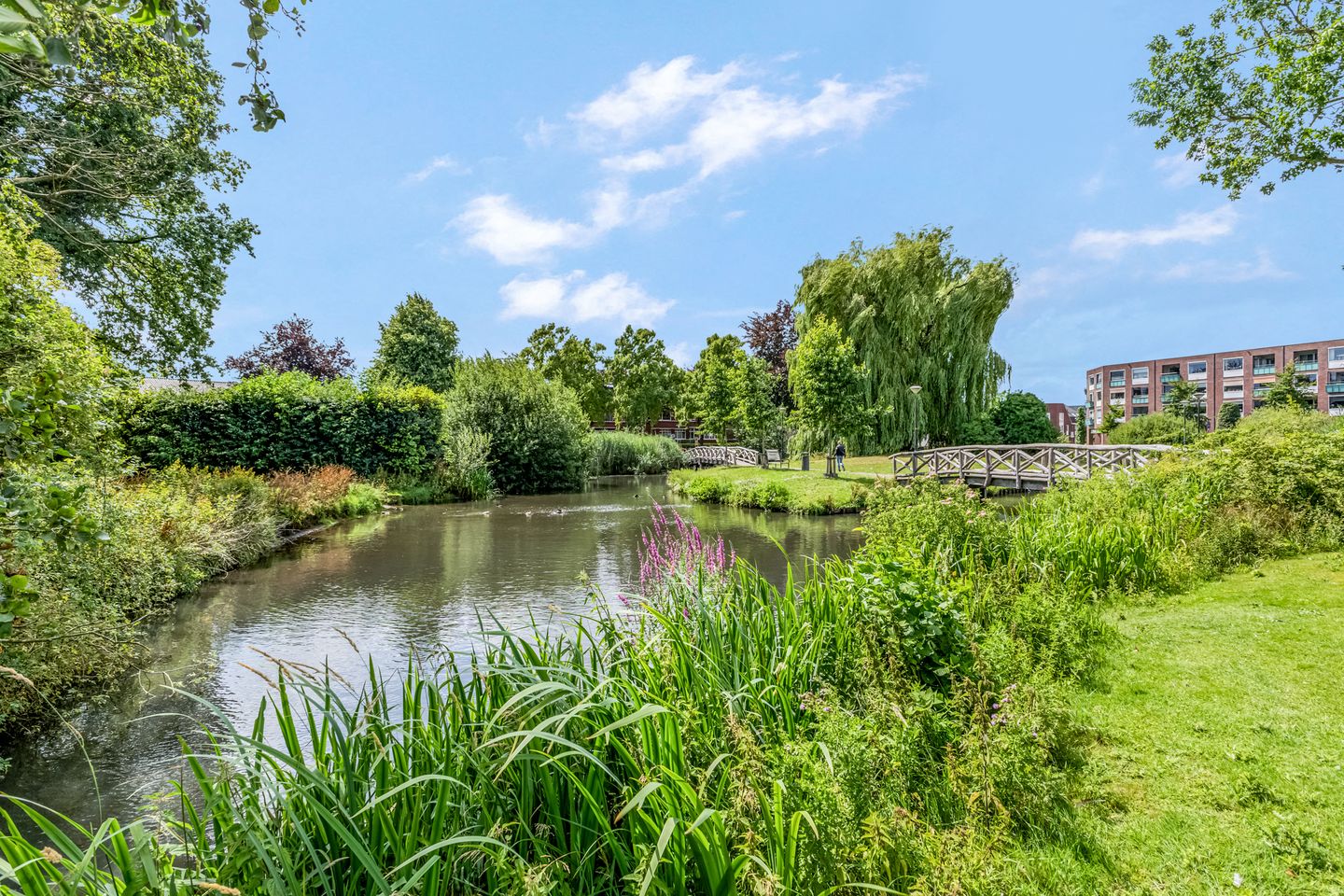 Foto 55 van Meinsstraat 17