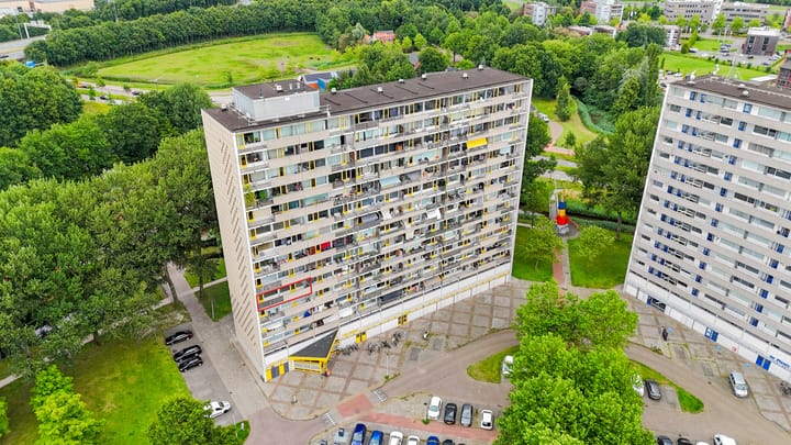 Tjaarda 334