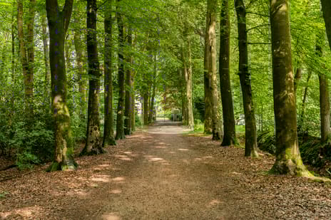 De Lariks 1 tertiary image