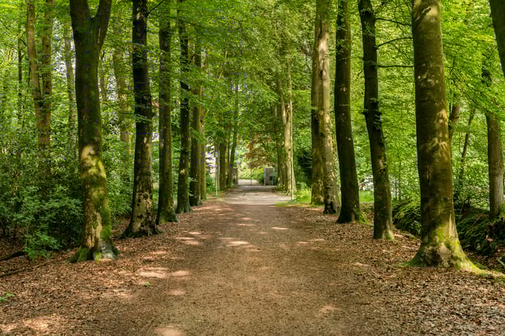 Foto 3 van De Lariks 1