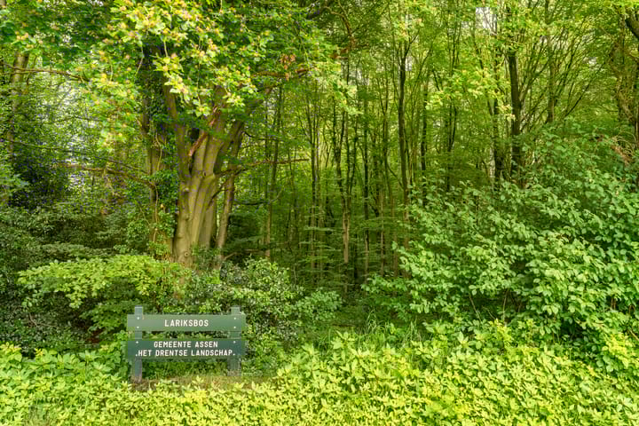 Foto 4 van De Lariks 1