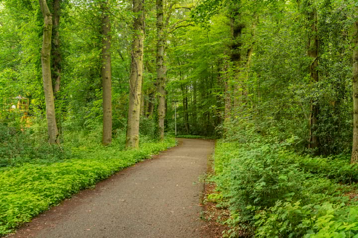 Foto 7 van De Lariks 1