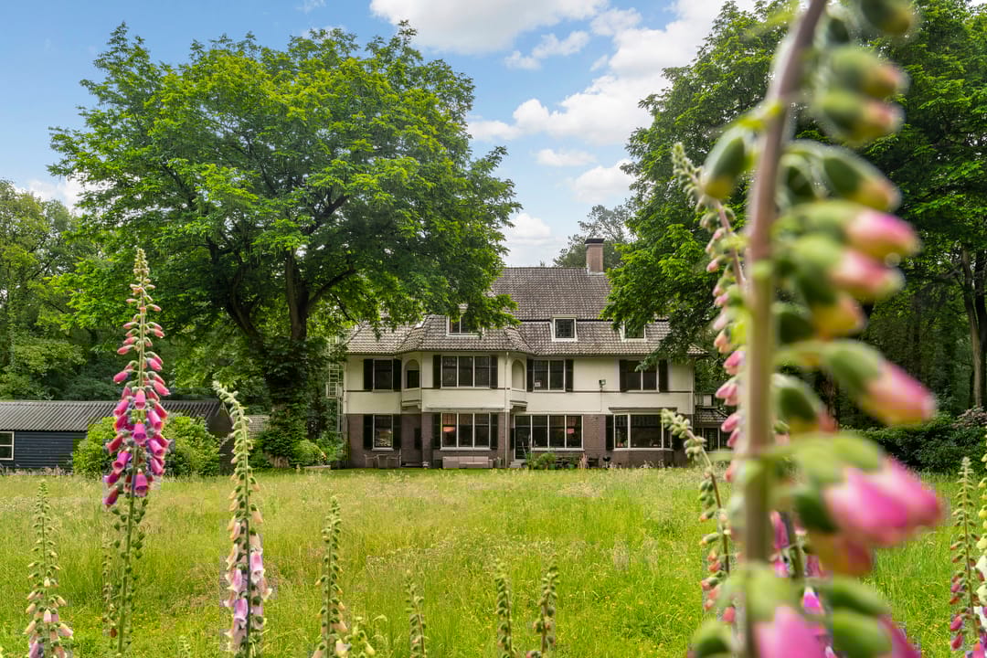 Foto 67 van De Lariks 1