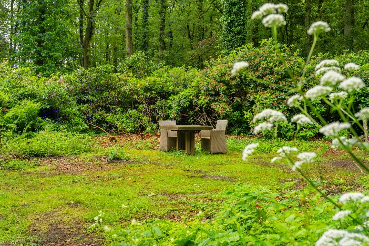 Foto 70 van De Lariks 1