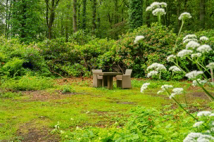 Foto 70 van De Lariks 1