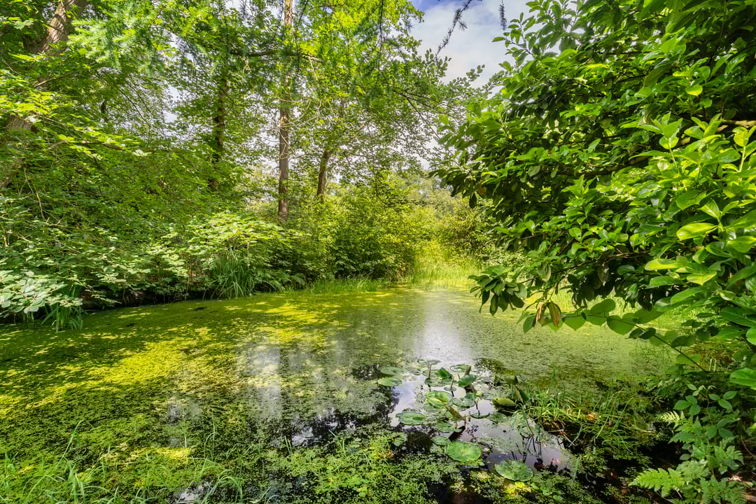 Foto 73 van De Lariks 1