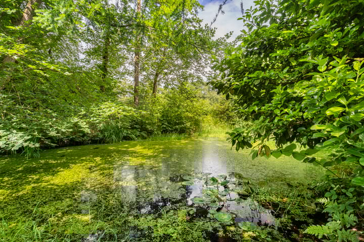 Foto 73 van De Lariks 1