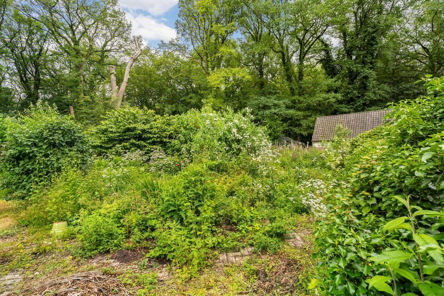 Foto 74 van De Lariks 1