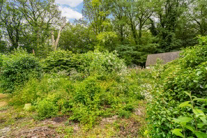 Foto 74 van De Lariks 1