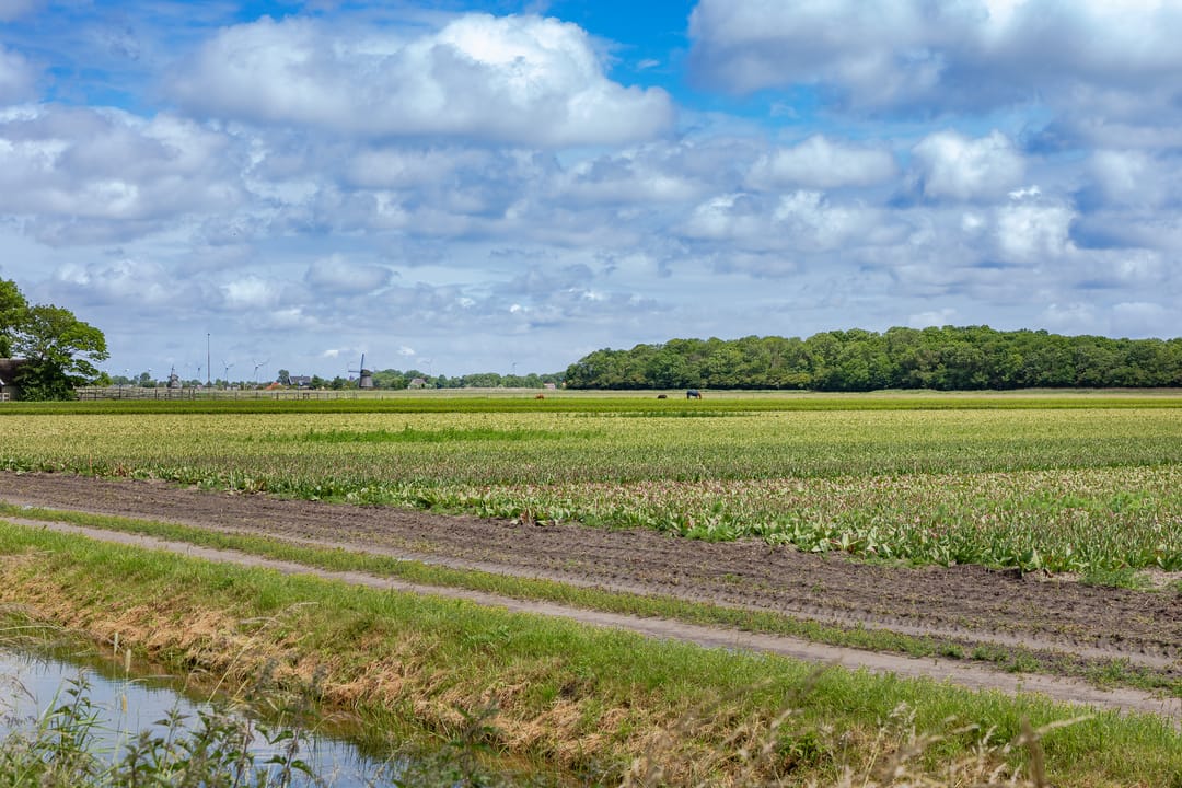 Foto 28 van Korte Belkmerweg 23