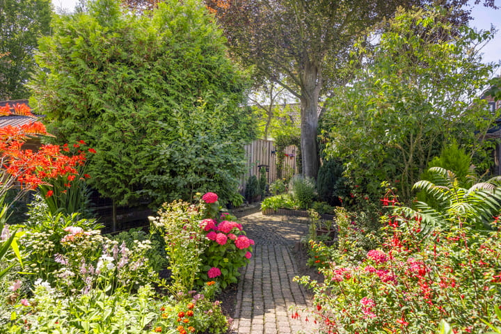 Foto 2 van Dorpsstraat 18