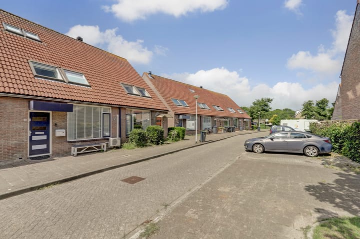 Photo 6 of Minerva 19