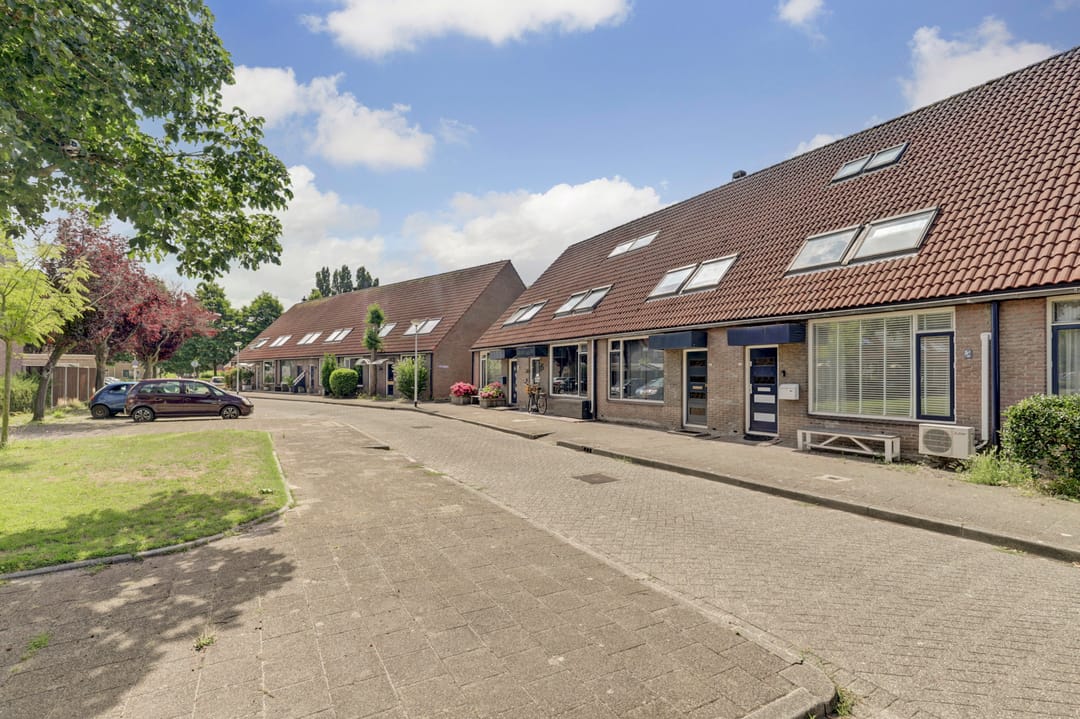 Foto 7 van Minerva 19