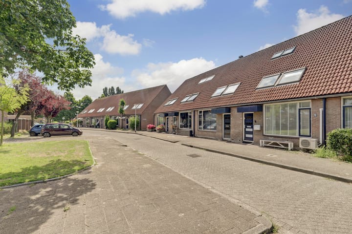 Photo 7 of Minerva 19