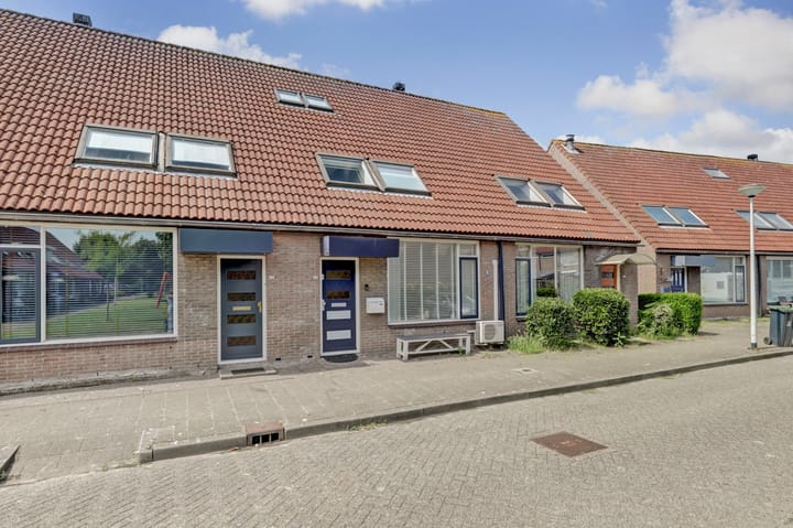 Photo 8 of Minerva 19