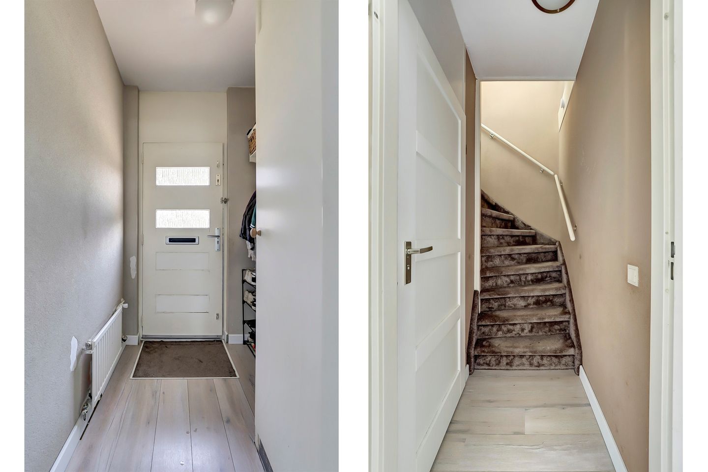 Foto 10 van Minerva 19