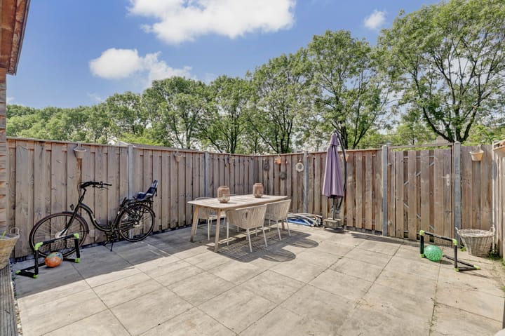 Photo 35 of Minerva 19