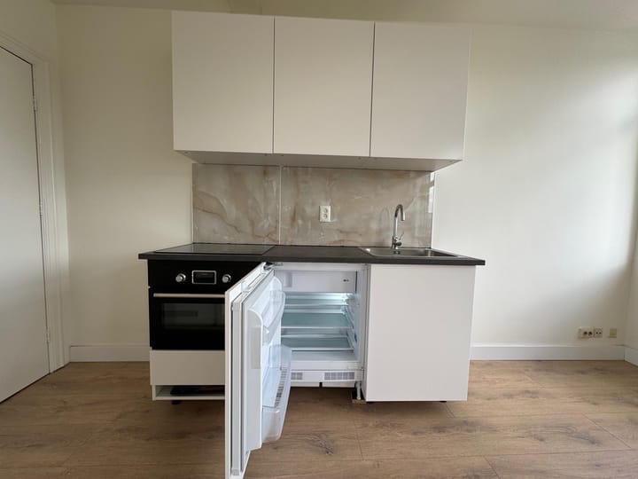 Foto 6 van Paulus Potterstraat 183