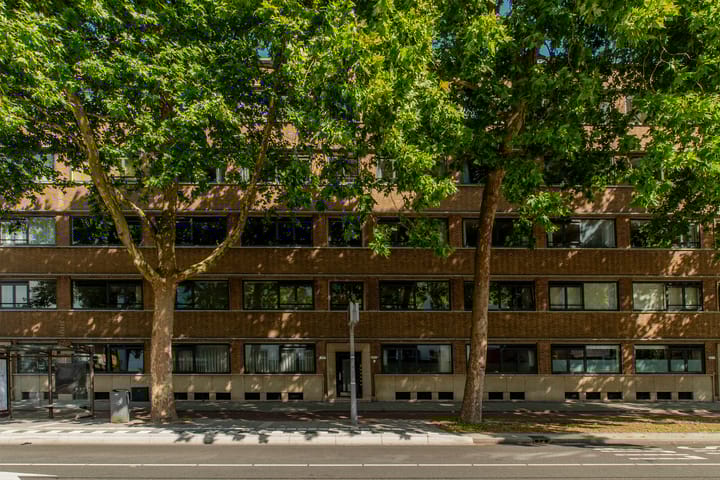 Foto 1 van Rochussenstraat 133-C